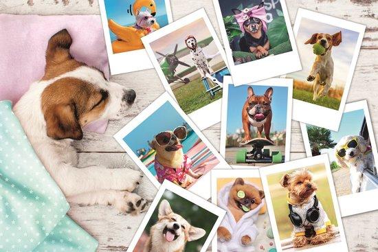 TREFL Puzzle Fotky z dovolené 300 dílků - 23003