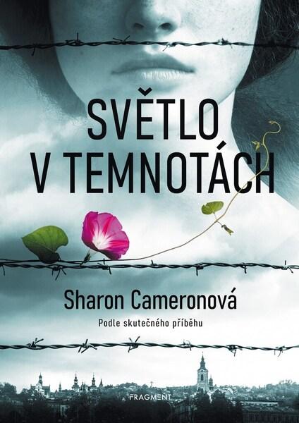 Světlo v temnotách - 978-80-253-5380-6
