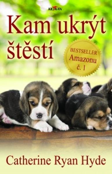 Kam ukrýt štěstí - 978-80-7633-555-4