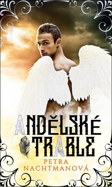 Levně Andělské trable