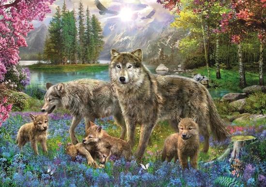 TREFL Puzzle Vlčí rodina 1000 dílků - 10558