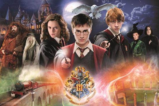 TREFL Puzzle Tajemný Harry Potter 300 dílků - 23001