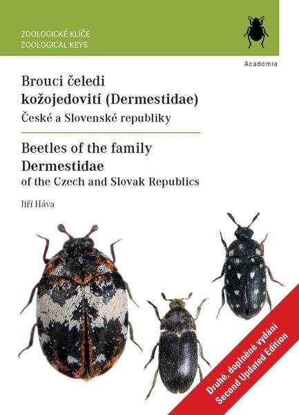 Levně Brouci čeledi kožojedovití (Dermestidae)