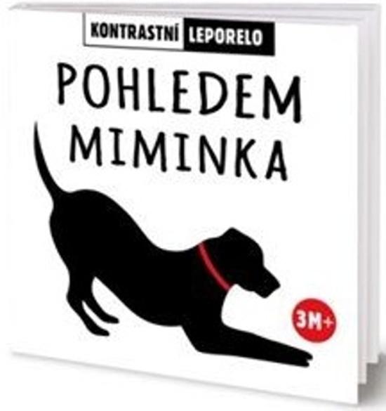 Pohledem miminka - 9788076420830