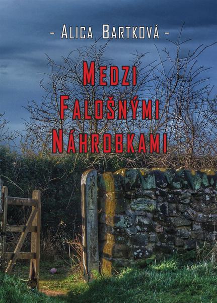 Medzi falošnými náhrobkami - 9788089780242