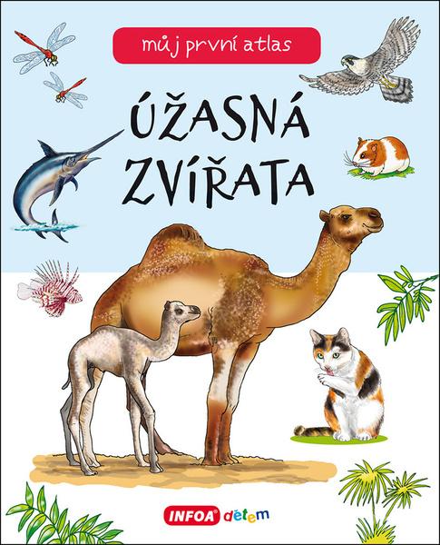 Úžasná zvířata - 9788075477118