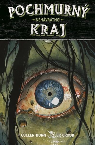 Pochmurný kraj 8 Nenávratno - 9788076520578