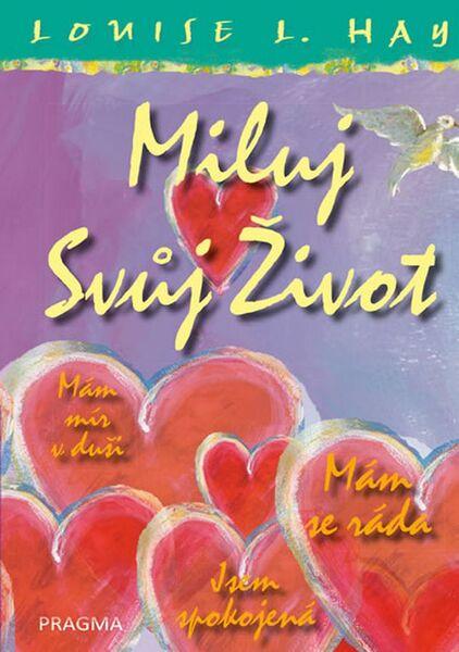 Miluj svůj život - 9788075493194