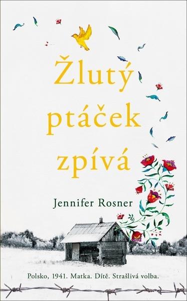 Žlutý ptáček zpívá - 9788027701438
