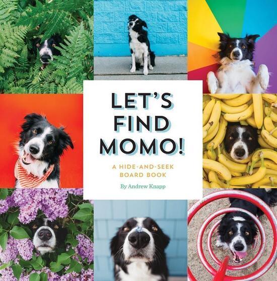 Let's Find Momo! - 1594749582