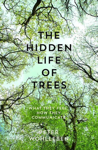 Levně The Hidden Life of Trees