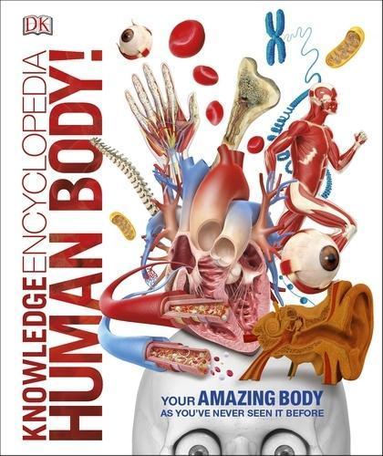 Knowledge Encyclopedia Human Body! - 0241286859