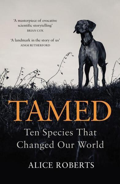 Tamed - 1786090015