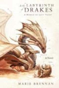 Levně In the Labyrinth of Drakes