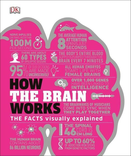 How the Brain Works - 0241403375