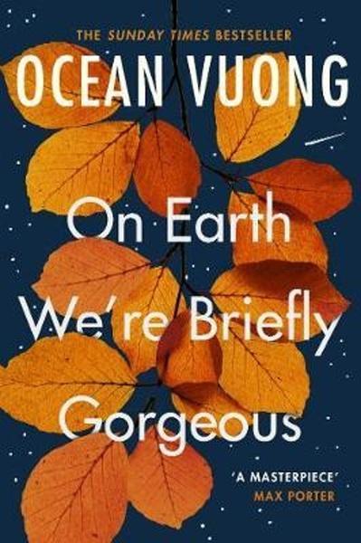 On Earth We're Briefly Gorgeous - 1529110688