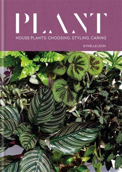 Plant - 1784726745