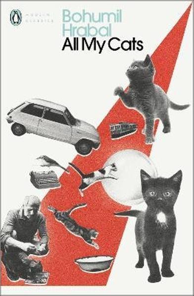 All My Cats - 0241422191