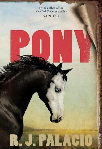 Pony - 0553508113