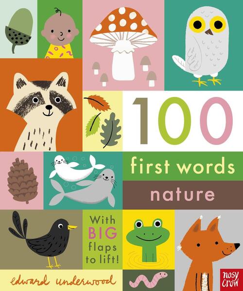 100 First Words: Nature - 1788009983
