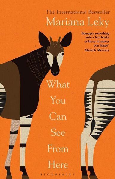 What You Can See From Here - 1526638541