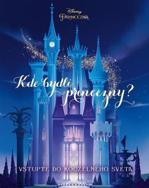 Levně Princezna Kde bydlí princezny