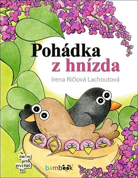 Pohádka z hnízda - 9788027135370