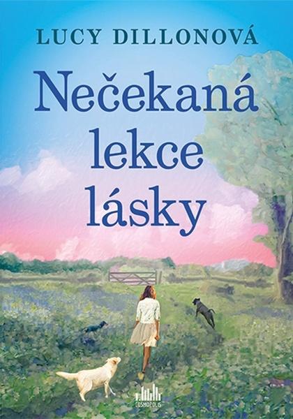 Levně Nečekaná lekce lásky