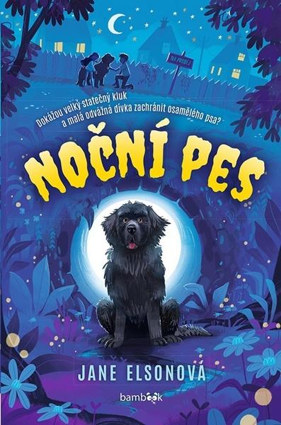 Noční pes - 9788027132331