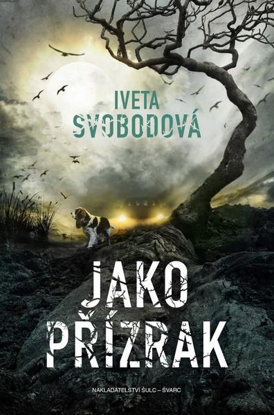 Jako přízrak - 9788072444731