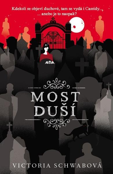 Most duší - 9788027603954