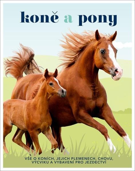 Levně Koně a pony