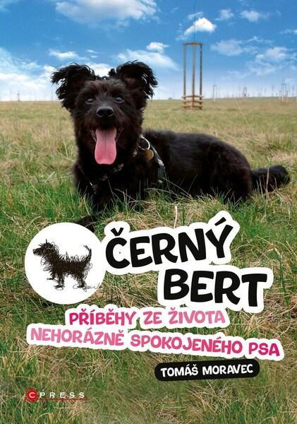 Černý Bert - 9788026442233