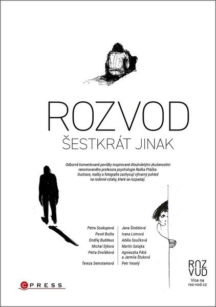 Rozvod šestkrát jinak - kolektiv autorů - 9788026442523