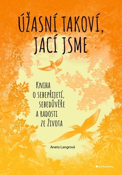 Úžasní takoví, jací jsme - 9788027134014
