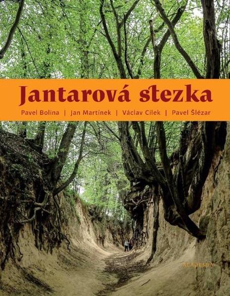 Jantarová stezka - 9788020032355