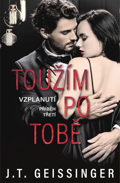 Toužím po tobě - 9788076429130