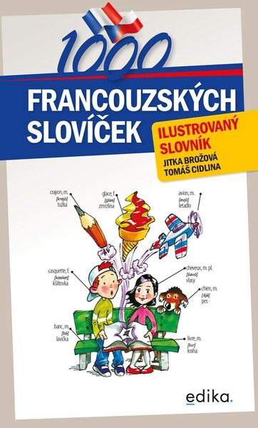 1000 francouzských slovíček - 9788026617617