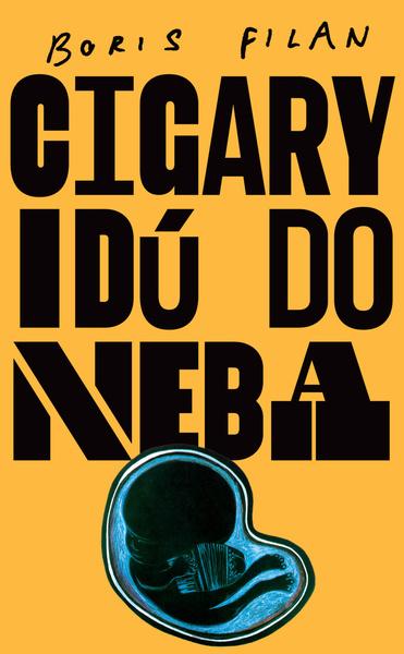 Cigary idú do neba - 9788055655840