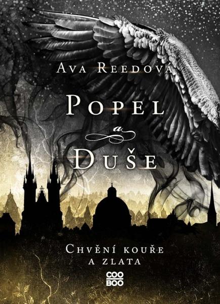 Popel a duše - 9788076615151