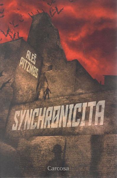 Levně Synchronicita