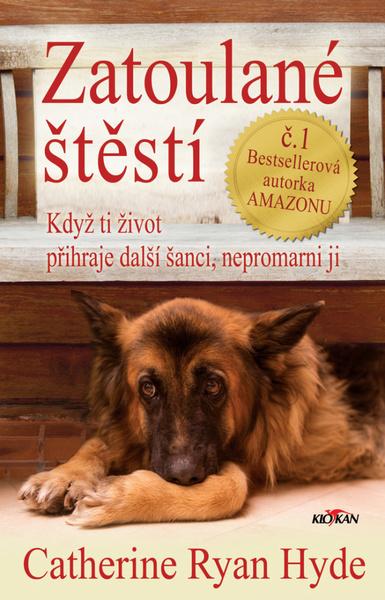 Zatoulané štěstí - 9788076337039