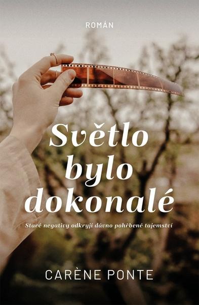 Světlo bylo dokonalé - 9788027702435