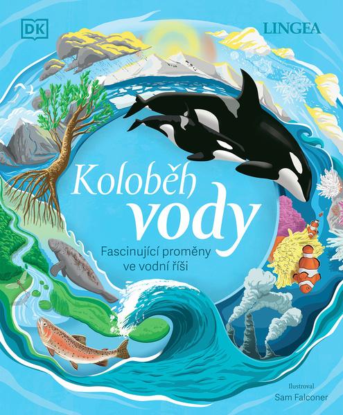 Levně Koloběh vody