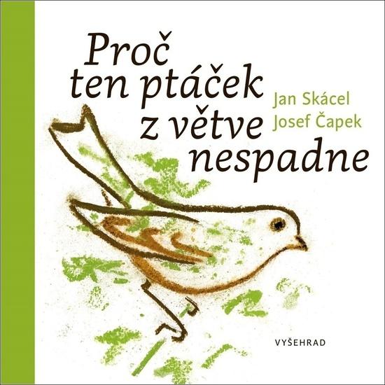 Proč ten ptáček z větve nespadne - 9788076016613