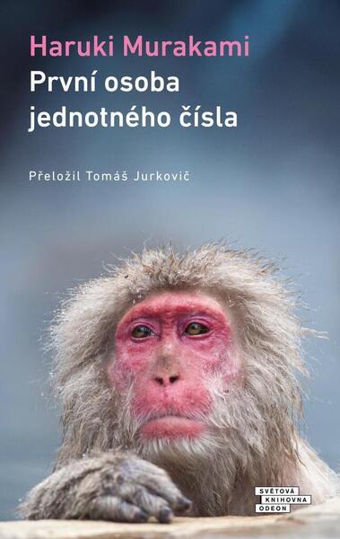 První osoba jednotného čísla - 9788020720979