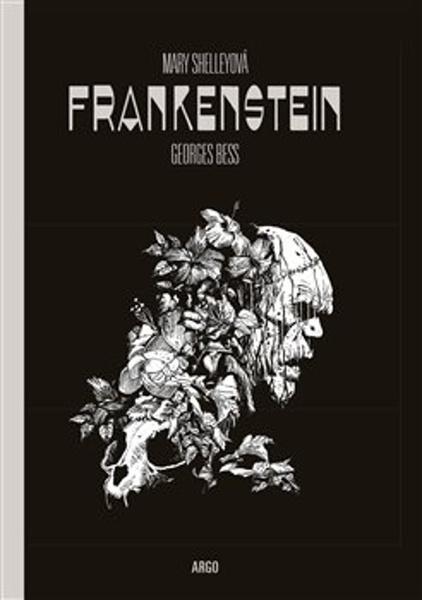 Frankenstein - 9788025738146