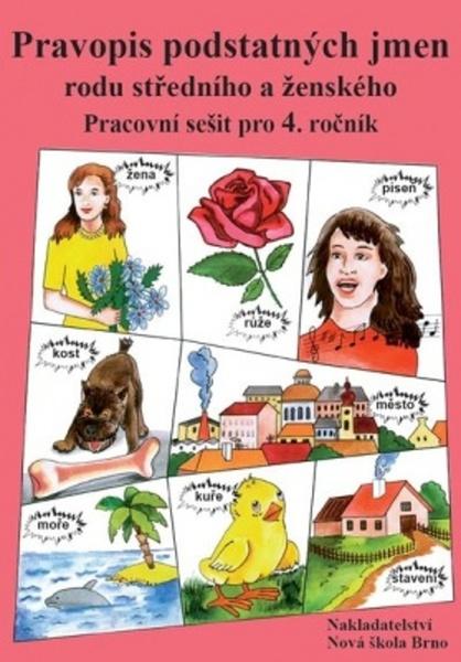 Pravopis podstatných jmen rodu středního a ženského - 9788087565582