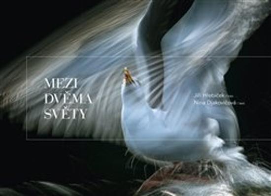 Mezi dvěma světy - 9788088412120