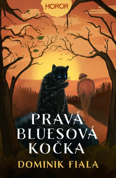 Pravá bluesová kočka - 9788027711857
